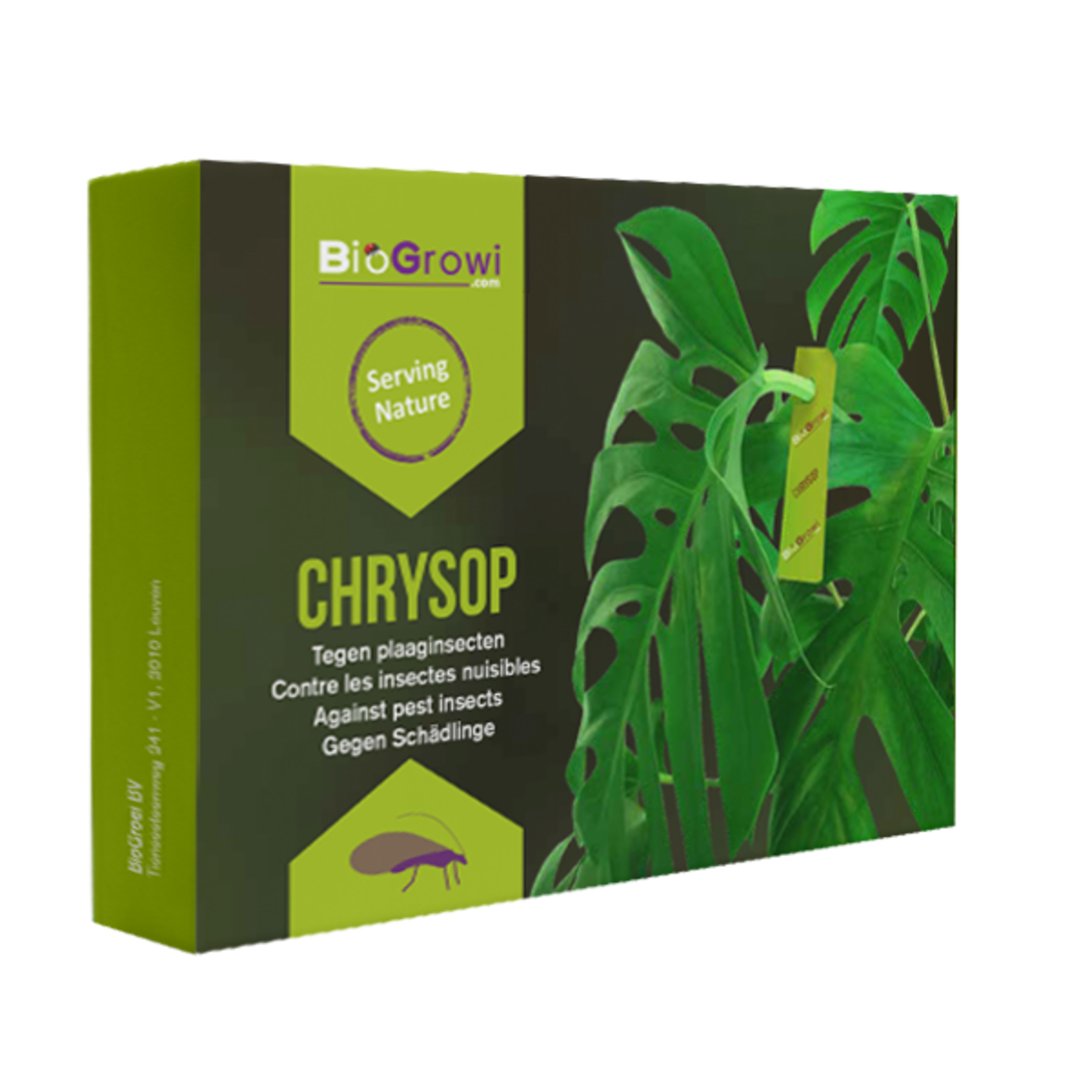 Biogroei Chrysop 20 stuks