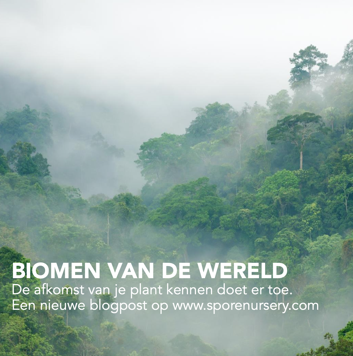 Biomen van de wereld