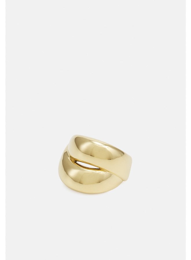 CHUNKY RAVEN RING GOLD