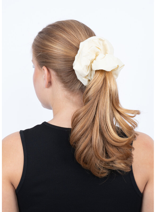 ICE CREAM SCRUNCHIE LEMON SORBET