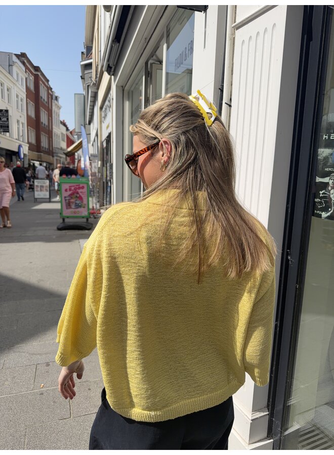 ANAYA KNIT POLO LEMON