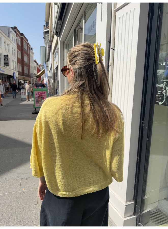 ANAYA KNIT POLO LEMON