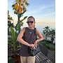 ALLEGRA TOP BROWN