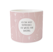 Blumentopf, "Ich bin nicht vertrocknet. Ich wachse knusprig" Blumentopf, "Ich bin nicht vertrocknet. Ich wachse knusprig"