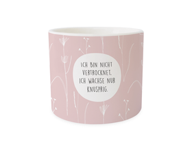 Blumentopf, "Ich bin nicht vertrocknet. Ich wachse knusprig"