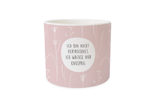 Blumentopf, "Ich bin nicht vertrocknet. Ich wachse knusprig"