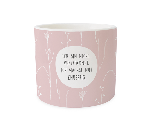Blumentopf, "Ich bin nicht vertrocknet. Ich wachse knusprig" Blumentopf, "Ich bin nicht vertrocknet. Ich wachse knusprig"