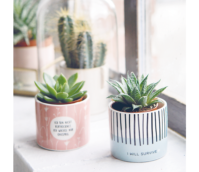 Grafik-Werkstatt Blumentopf, Mini Dekotopf "Gesicht"