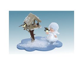Schneeflöckchen auf Wolke mit Futterhaus