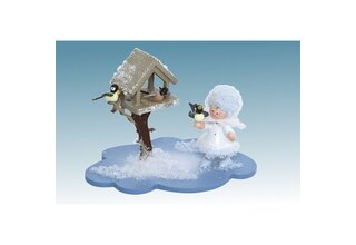 Schneeflöckchen auf Wolke mit Futterhaus