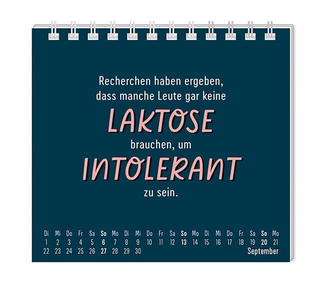 Grafik Werkstatt, Mini-Kalender 2026, Nett kann ich auch