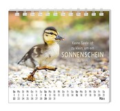 Grafik Werkstatt, Mini-Kalender 2026, Happymacher Grafik Werkstatt, Mini-Kalender 2026, Happymacher