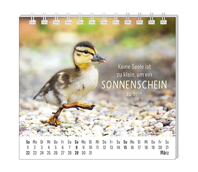 Grafik Werkstatt, Mini-Kalender 2026, Happymacher Grafik Werkstatt, Mini-Kalender 2026, Happymacher