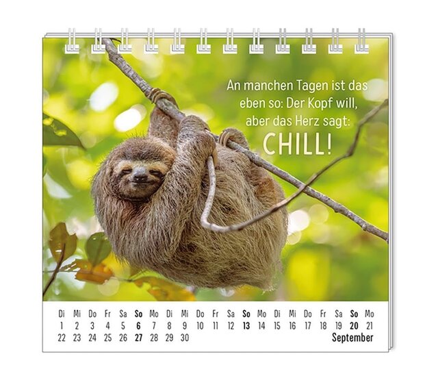 Grafik Werkstatt, Mini-Kalender 2026, Happymacher Grafik Werkstatt, Mini-Kalender 2026, Happymacher