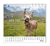Grafik Werkstatt, Mini-Kalender 2026, Happymacher Grafik Werkstatt, Mini-Kalender 2026, Happymacher