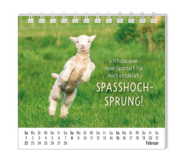 Grafik Werkstatt, Mini-Kalender 2026, Happymacher Grafik Werkstatt, Mini-Kalender 2026, Happymacher