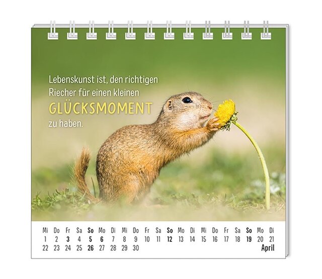 Grafik Werkstatt, Mini-Kalender 2026, Happymacher Grafik Werkstatt, Mini-Kalender 2026, Happymacher
