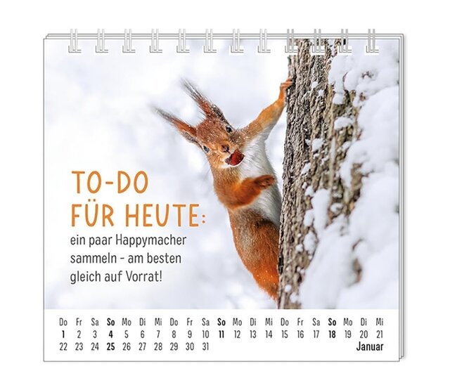 Grafik Werkstatt, Mini-Kalender 2026, Happymacher Grafik Werkstatt, Mini-Kalender 2026, Happymacher