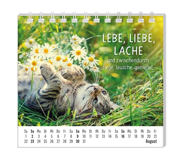 Grafik Werkstatt, Mini-Kalender 2026, Happymacher Grafik Werkstatt, Mini-Kalender 2026, Happymacher