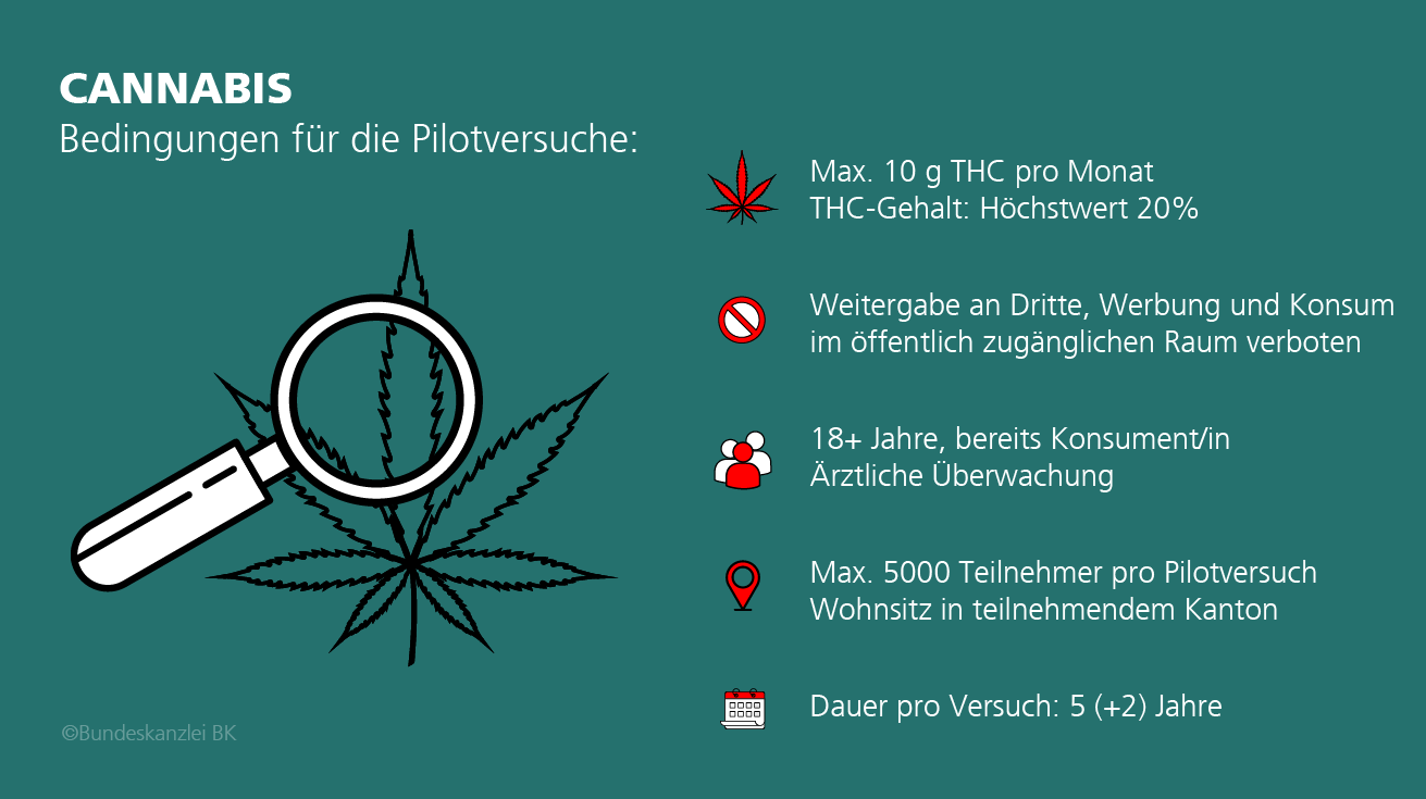 Pilotversuche mit Cannabis Schweiz