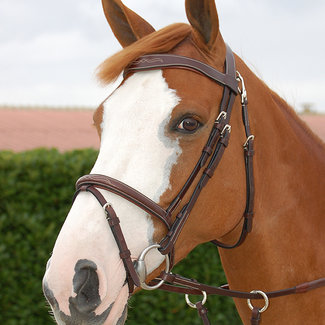 DYON DYON WOJBHA Fancy flash nose bridle