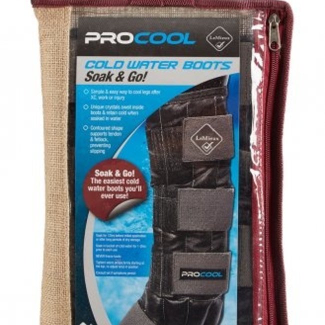 Lemieux procool cold water boots hot sale