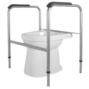 Toiletframe RVS geglaspareld