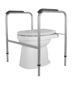 Toiletframe met zitting + deksel wit RVS geglaspareld