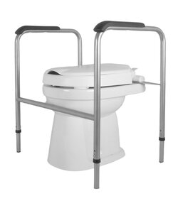 Toiletframe RVS geglaspareld met vaste verhoger 6 cm