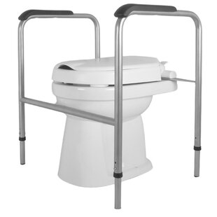 Toiletframe RVS geglaspareld met vaste verhoger 6 cm