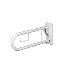 Toiletbeugel 50 +  closetrolhouder RVS wit