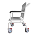 JadaCare Zwembadstoel verrijdbaar vaste armleggers