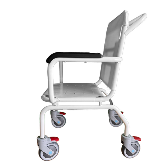 JadaCare Zwembadstoel verrijdbaar vaste armleggers