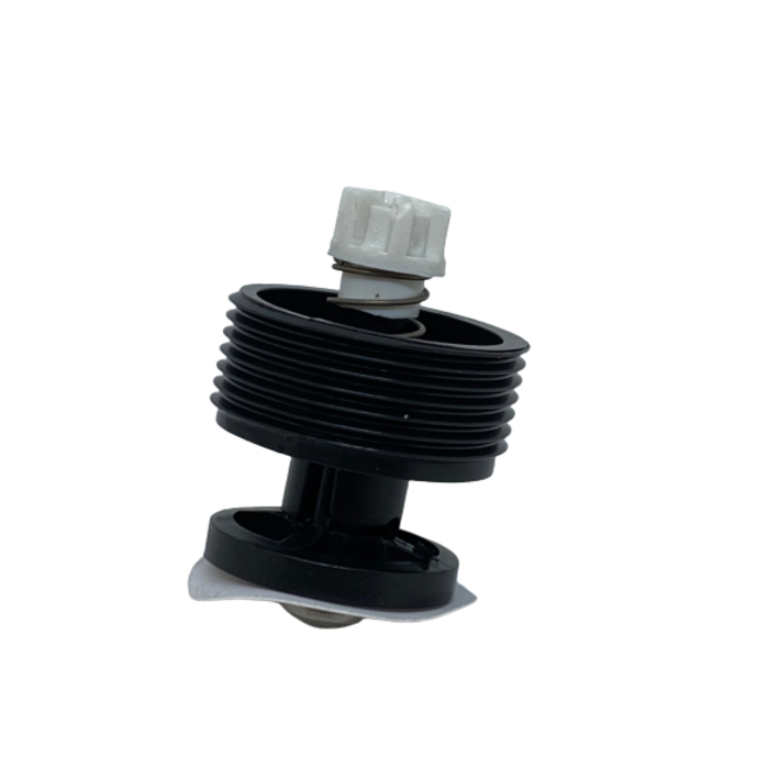 Zodiac Inzetventiel Z60055