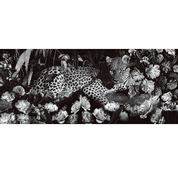 Ter Halle Glasschilderij 120x50cm Black and White Leopard