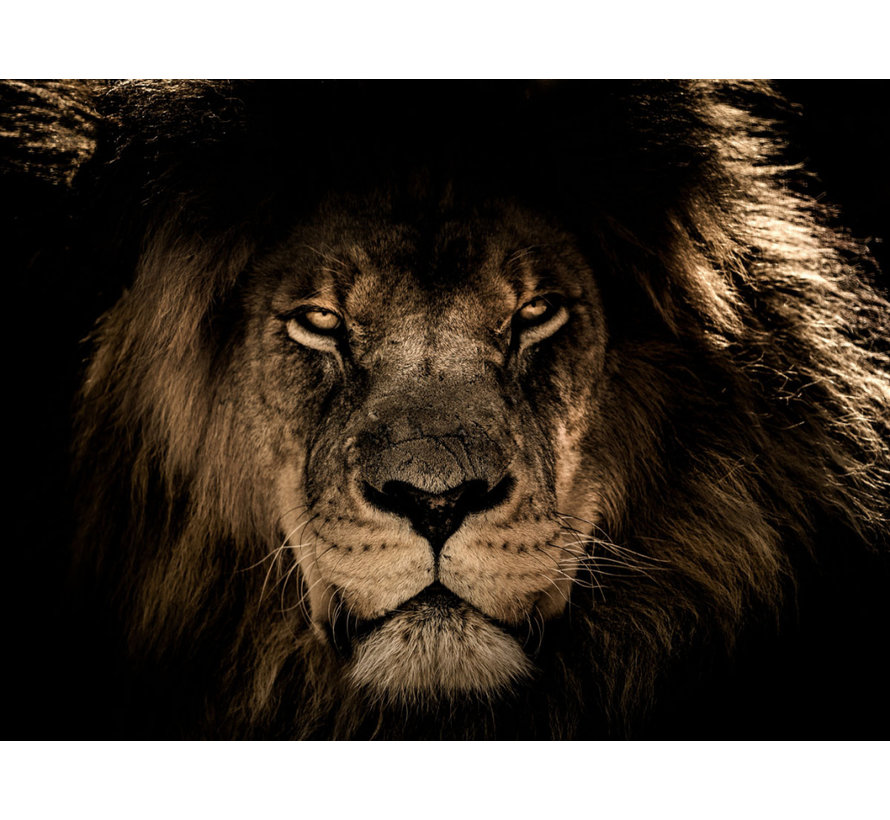 Glasschilderij 120x80cm The Lion