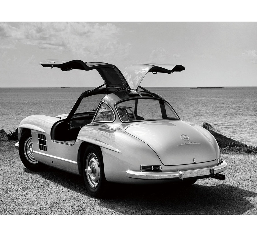 Glasschilderij 120x80cm Mercedes in the Wild