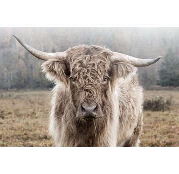 Ter Halle Glasschilderij 120x80cm Highlander