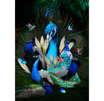 Ter Halle Glasschilderij 80x120cm Peacock family