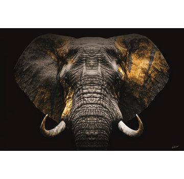 Ter Halle Glasschilderij 120x80cm Elephant gold