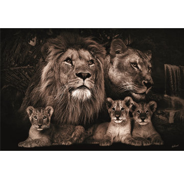 Ter Halle Glasschilderij 120x80cm Lion family