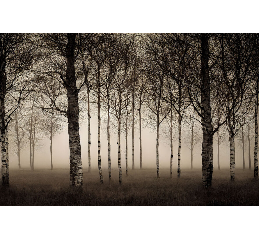 Schilderij 120x80x0.4 Trees in the fog
