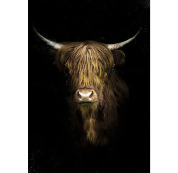 Ter Halle Glasschilderij 80x120x0.4 Highlander