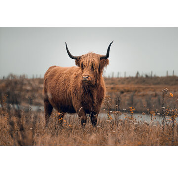 Ter Halle Glasschilderij 120x80x0.4 Hooglander