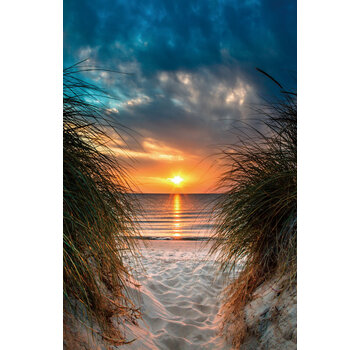 Ter Halle Glasschilderij 80x120cm Sunset