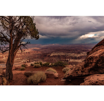 Ter Halle Glasschilderij met 3D reliëf 120x80cm Canyon