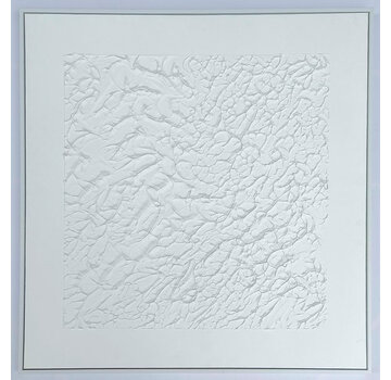 Ter Halle 3D Wanddecoratie 80x80cm