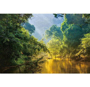 Ter Halle Glasschilderij 80x120cm Rivier door de jungle