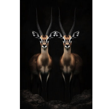 Ter Halle Glasschilderij 80x120cm Twee gazelles