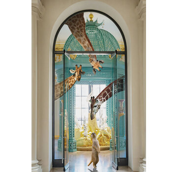 Ter Halle Glasschilderij 80x120cm Giraffen en stokstaartje